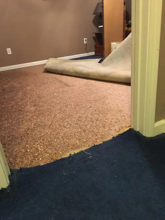 Carpet pad removal revealing water damage during Drying & Dehumidification in Hermitage