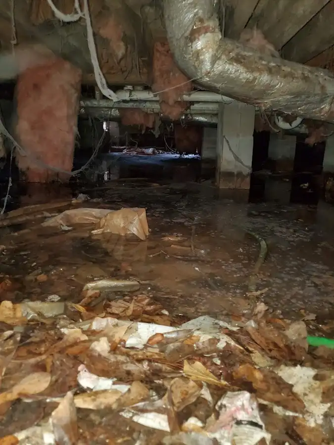 Crawl space flood assessment for Leak Detection & Repair in Hermitage