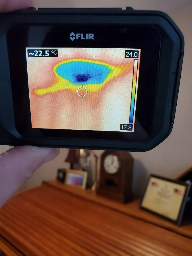 Thermal imaging inspection for water damage in Hermitage