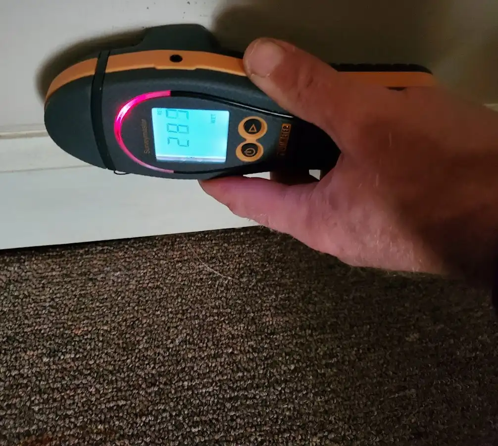 Moisture detection at baseboard during Sewage Cleanup & Sanitation in Hermitage